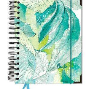 bullet journal bujo